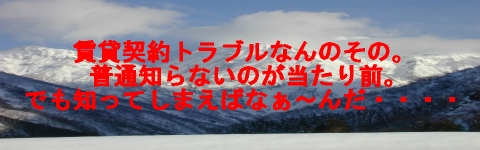 rogo3.jpg